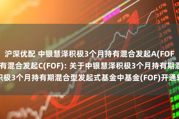 沪深优配 中银慧泽积极3个月持有混合发起A(FOF),中银慧泽积极3个月持有混合发起C(FOF): 关于中银慧泽积极3个月持有期混合型发起式基金中基金(FOF)开通转换业务的公告