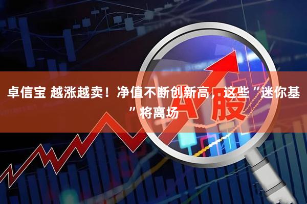 卓信宝 越涨越卖！净值不断创新高，这些“迷你基”将离场