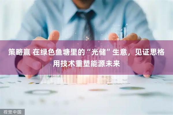 策略赢 在绿色鱼塘里的“光储”生意，见证思格用技术重塑能源未来