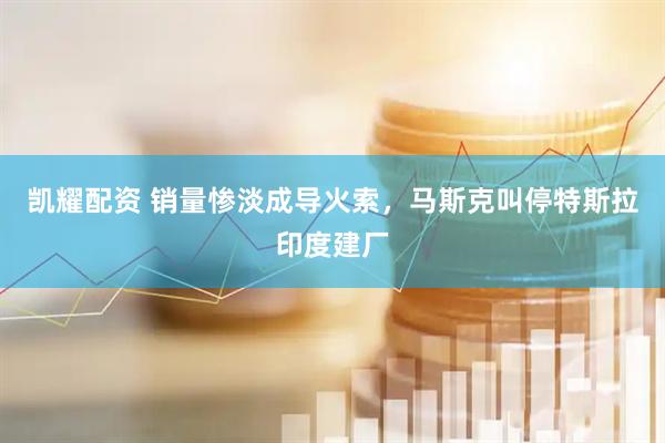 凯耀配资 销量惨淡成导火索，马斯克叫停特斯拉印度建厂